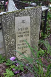 Иоффе Фаня Хаимовна, Москва, Востряковское кладбище